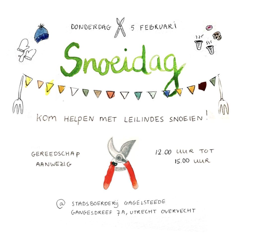 Op donderdag 5 februari gaan we leilindes snoeien op stadsboerderij Gagelsteede 😃 We starten om 12.00, om 13.00 uur is er soep, en daarna snoeien we tot 15.00 uur. Vindt je het leuk om mee te helpen? Dan zien we je daar! (Je hoeft geen ervaring te hebben met snoeiwerk)